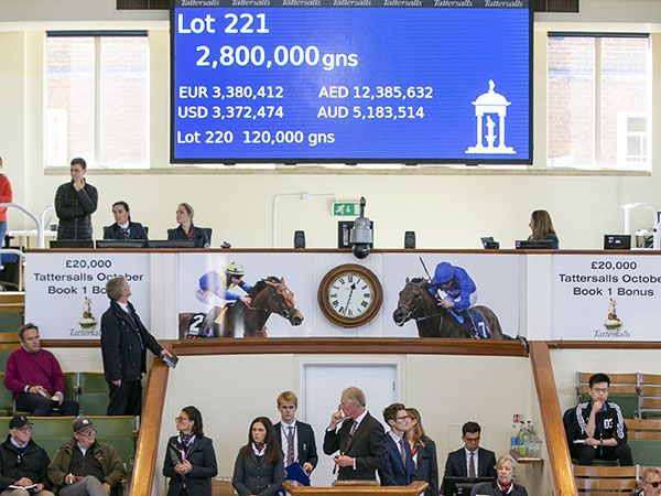 The highest priced yearling sold in the world this year was the FRANKEL colt out of the DUBAWI mare SO MI DAR who realised 2,800,000 guineas 