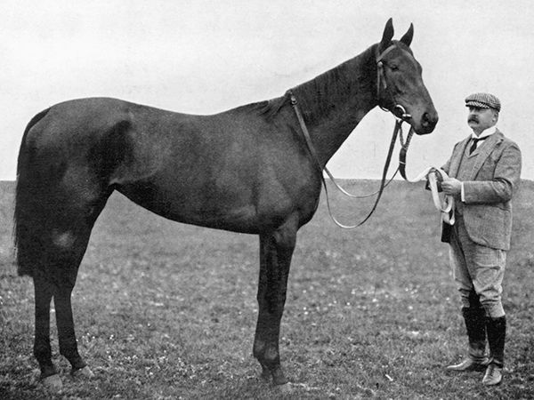 Champion Filly SCEPTRE - 1899 Filly by PERSIMMON out of ORNAMENT (BEND OR) 