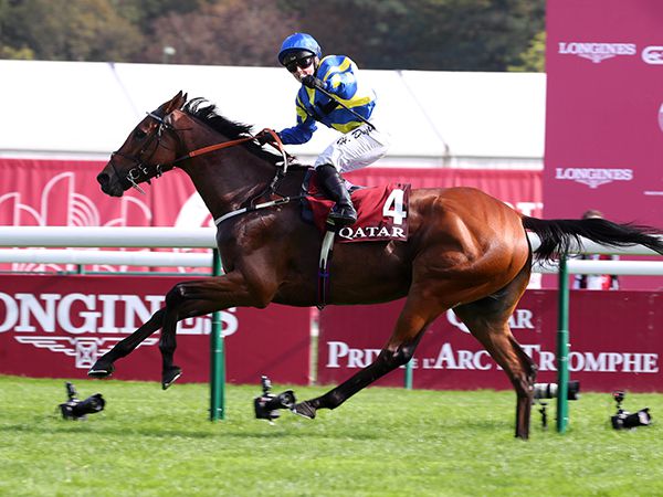 Trueshan claimed a third Group 1 victory in last year's Prix du Cadran and was bought for 31,000 guineas at the Guineas Breeze Up Sale by Highflyer Bloodstock and Alan King 