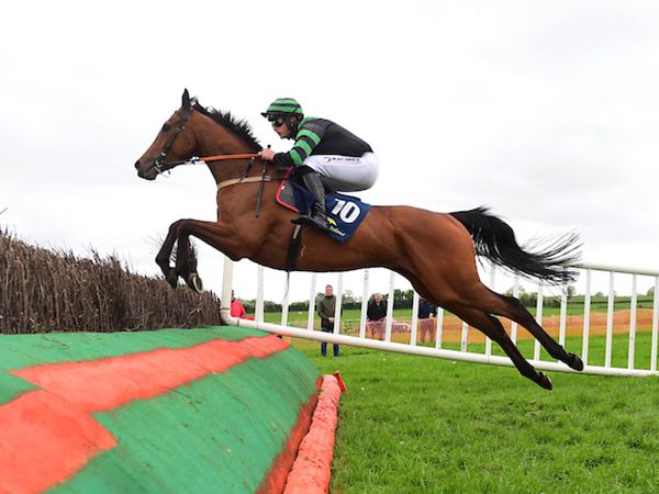 Ballingarry point-to-point winner Wrestlingwithrae will be offered at the Tattersalls May NH Sale by Monbeg Stables