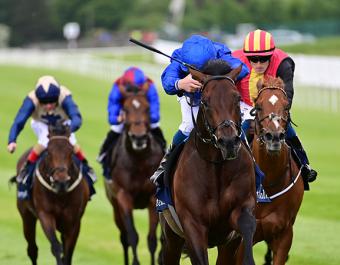 Last year’s Tattersalls Irish 2,000 Guineas winner Native Trail was purchased for 210,000 guineas by Godolphin at the Tattersalls Craven Breeze Up Sale