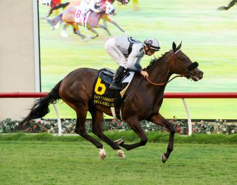 Bellabel winning the Gr.2 San Clemente Stakes