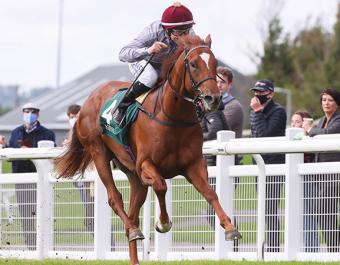 75,000 guineas Book 2 purchase EBRO RIVER is the highest rated two-year-old in Europe