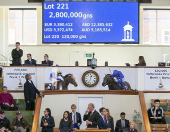 The highest priced yearling sold in the world this year was the FRANKEL colt out of the DUBAWI mare SO MI DAR who realised 2,800,000 guineas