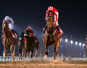 Gr.1 Al Maktoum Challenge Round 3 winner Salute The Soldier became the latest Group 1 winning horse-in-training purchase from Tattersalls