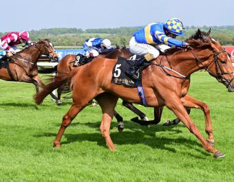 Sea The Boss winning the Group 3 Jannah Rose Stakes at Naas.