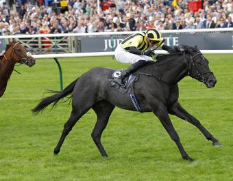 Craven Breeze Up Sale Topper VANDEEK winning the Group 1 Middle Park Stakes