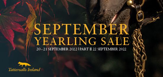 September Yearling Sale Nominations