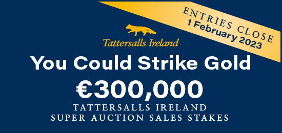Super Auction Sales Stakes 2023