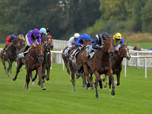 Canton Queen winning at Leicester