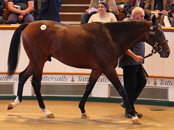 Graffiti Master Selling as a Yearling for 575,000 Guineas