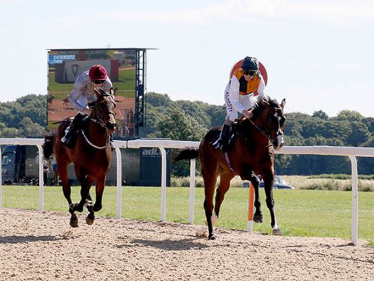 Mushaireb (Right) is Second Past the Post, but won in the Steward's Room