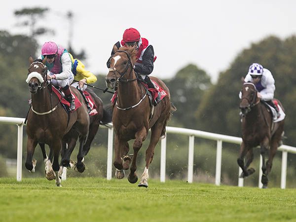The King Winning at Gowran Park