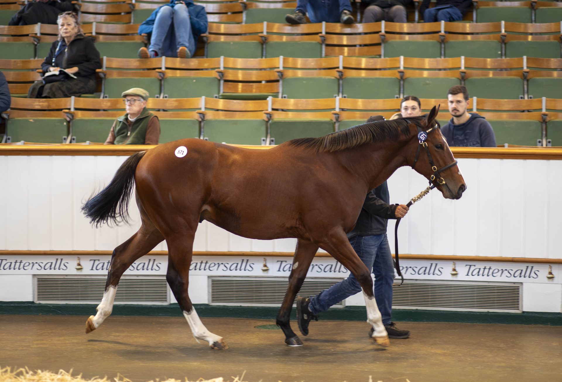 October Yearling Sale Book 2 2025 - Tattersalls