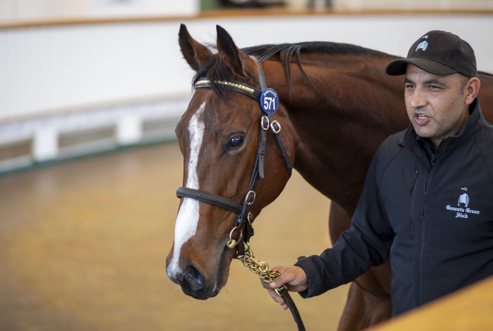 October Yearling Sale Book 2 2025 - Tattersalls