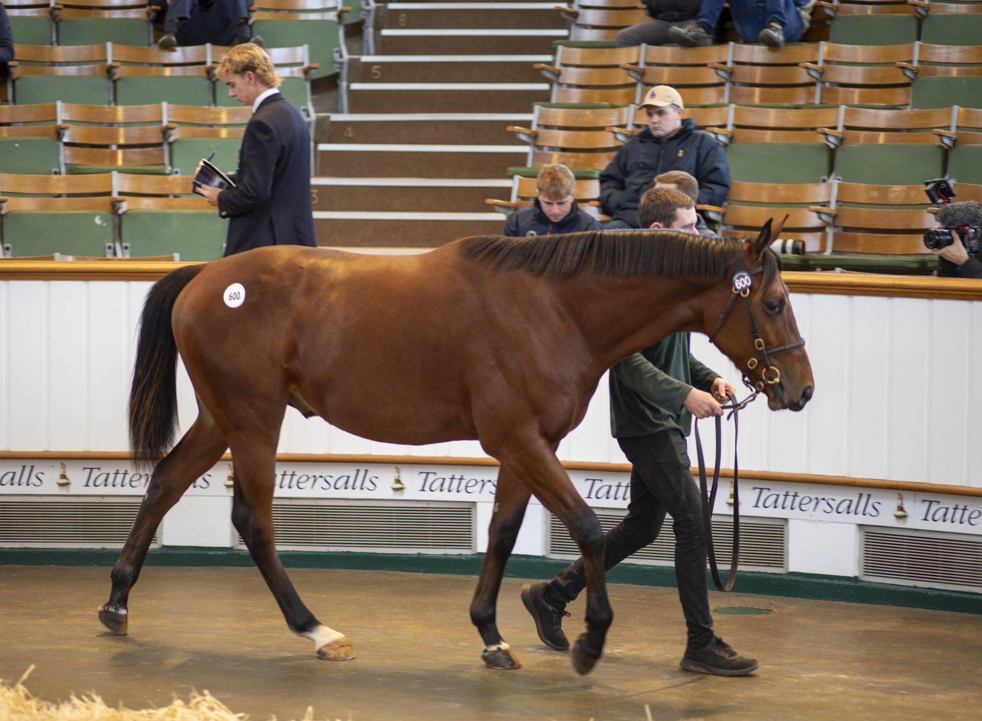 October Yearling Sale Book 2 2025 - Tattersalls
