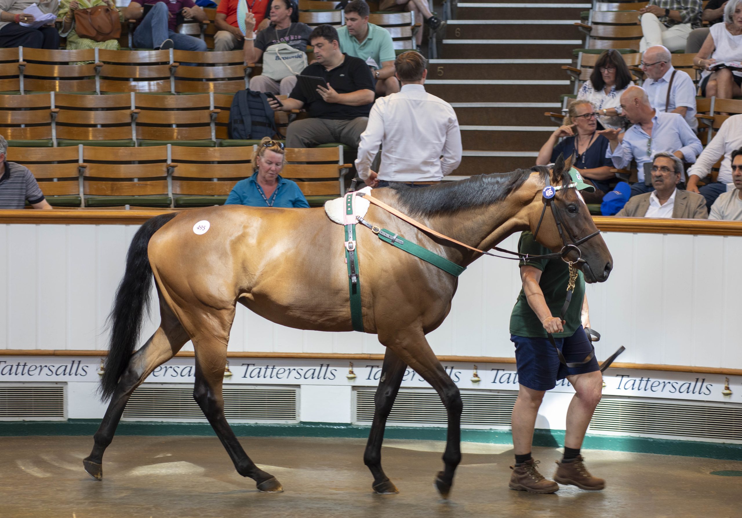 ☆ Tattersalls THE July SALE SELECTED ☆ July Sale 2026 - Tattersalls
